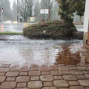 Meet your Posher, Brandy